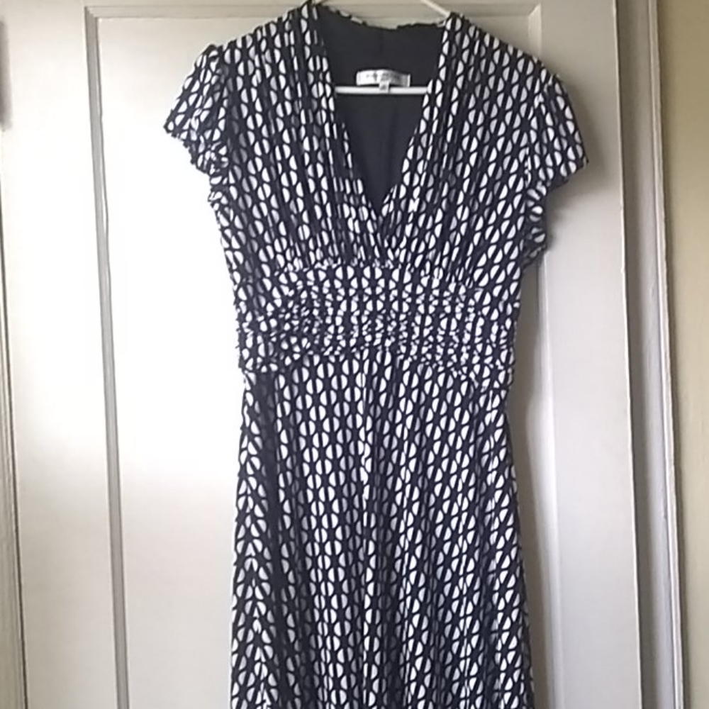 Evan-Picone Dress